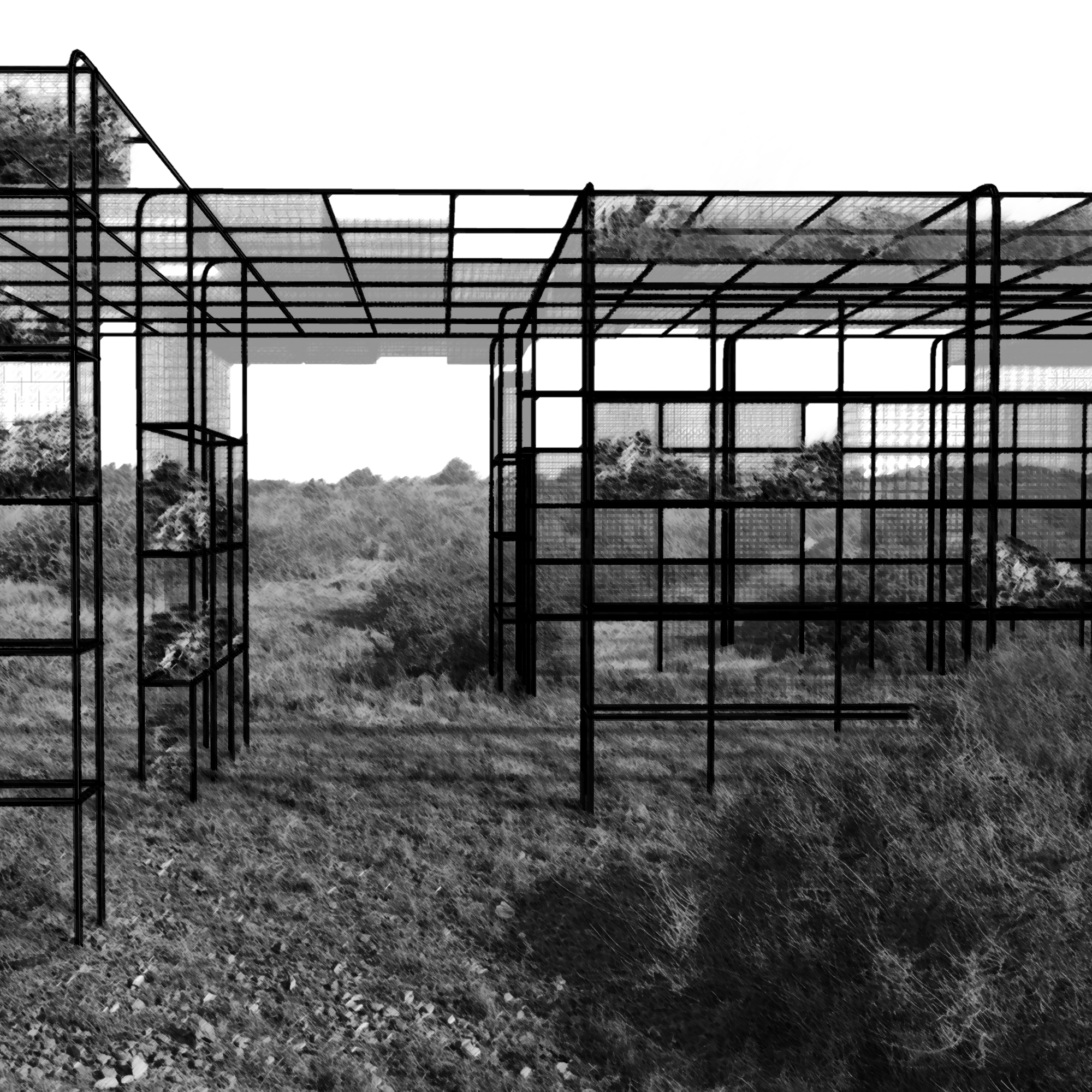 Tabarca project image 5