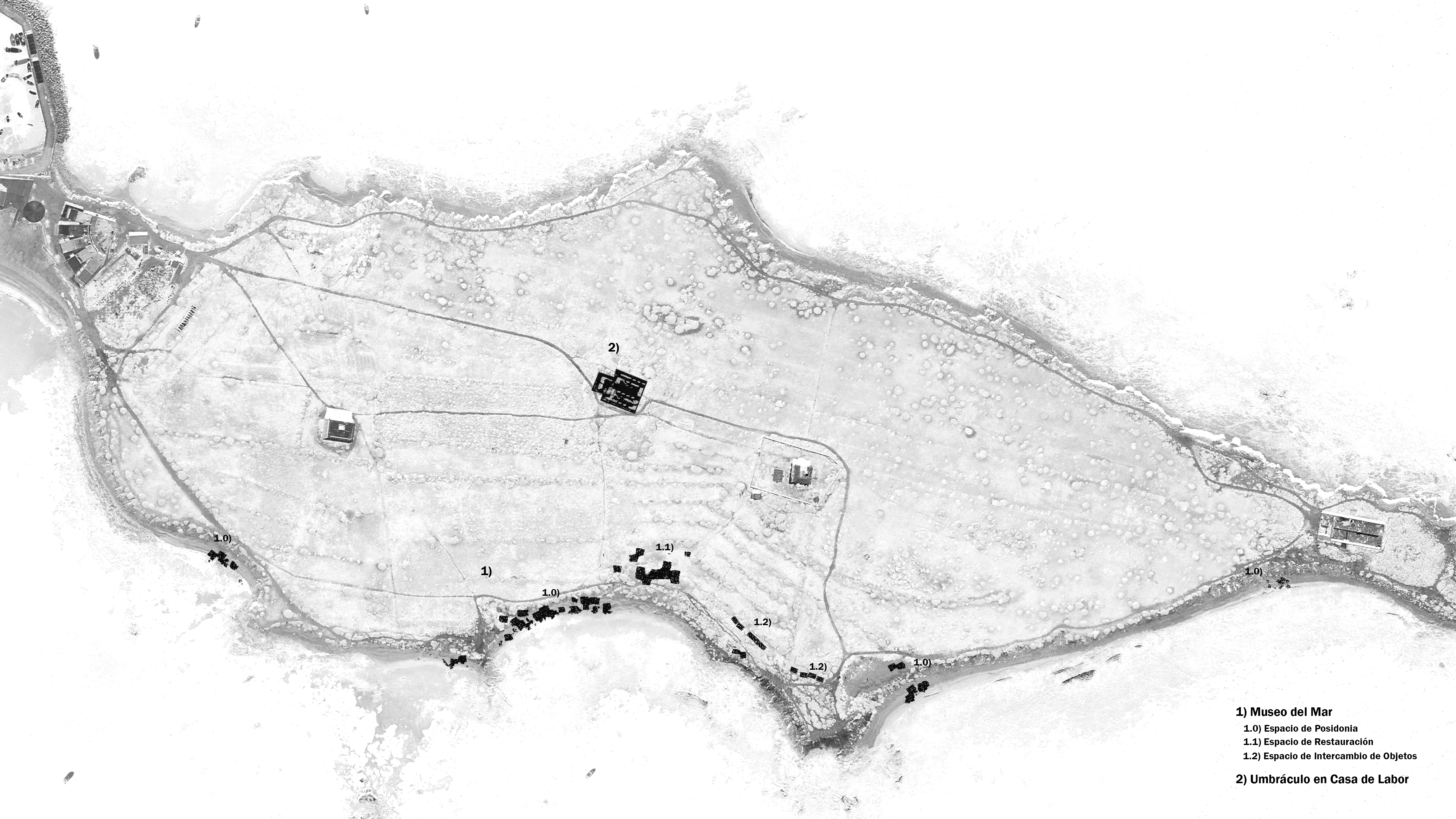 Plan drawing of Tabarca
