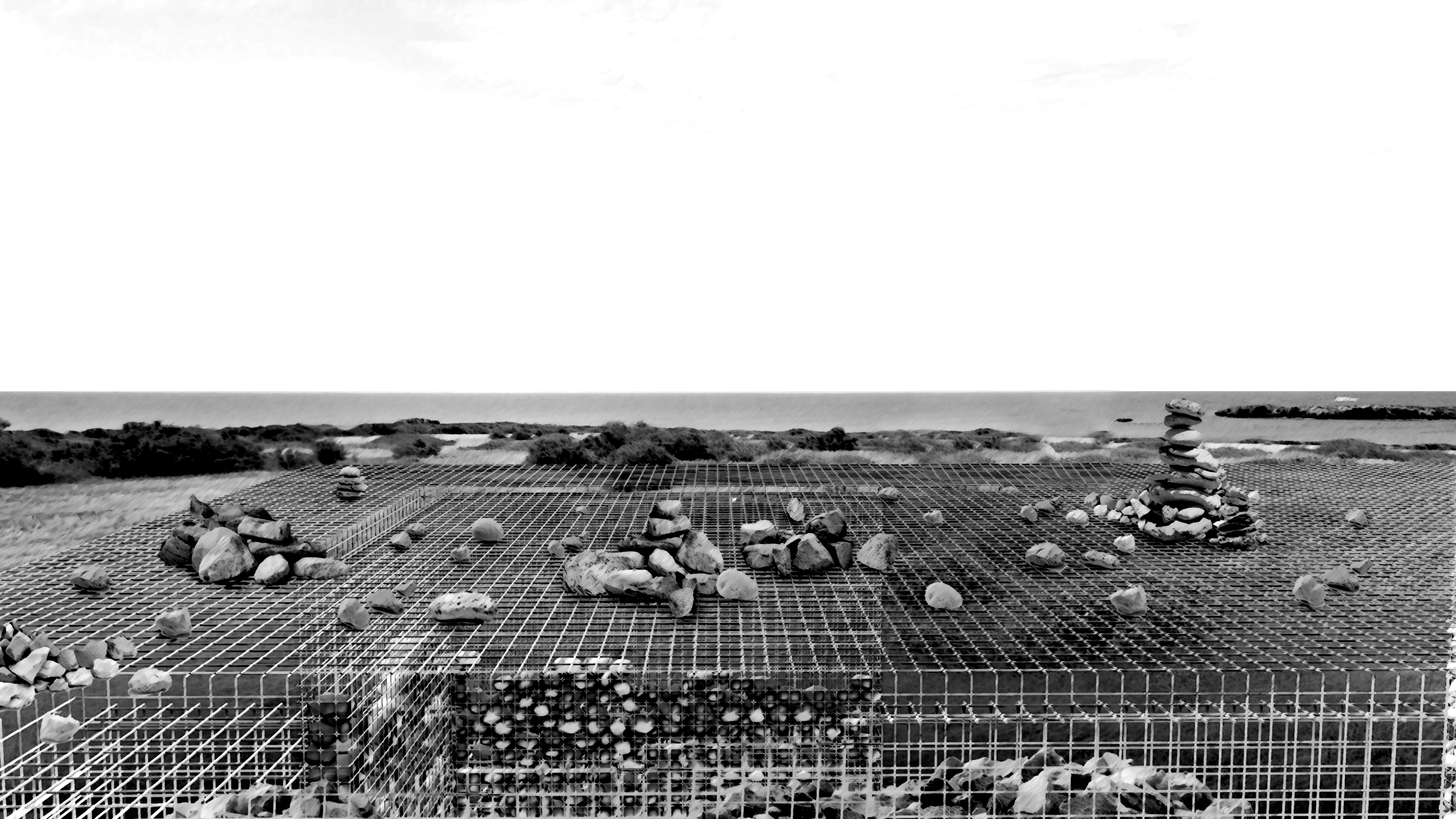 Umbraculum project image